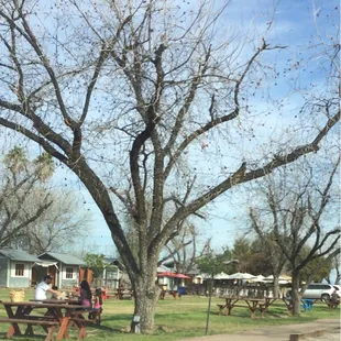 People having picnics on this beautiful Valentines Day at Maya Park.