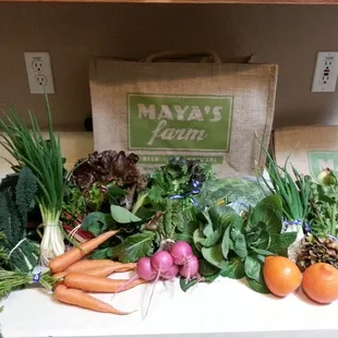 Week 5 Wintwr 2013 CSA.  Stopped at the market on the farm and picked up Shallots!  I luuuv shallots
