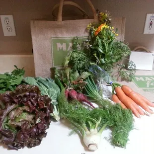 Week 7 CSA Winter 2013.