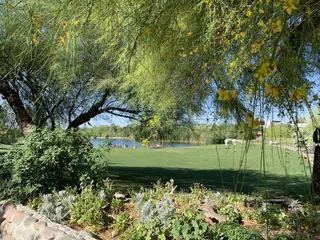 Singh Meadows