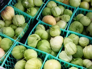 Tempe CSA
