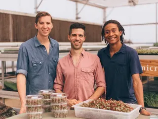 Arizona Microgreens