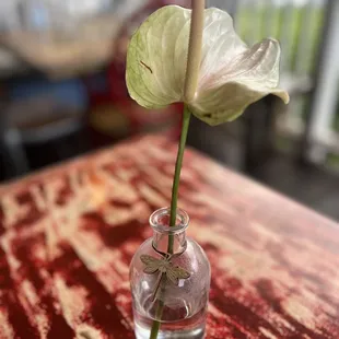The Lonesome Flower