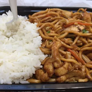The chicken lo mein lunch special