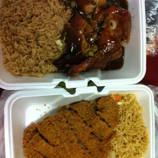 Roast duck lunch special. Pork chop lunch.