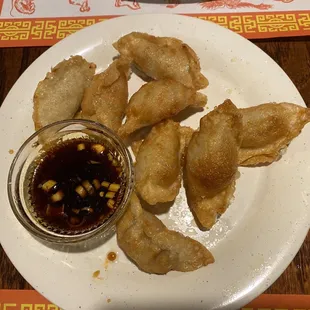 Crispy Potstickers