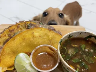 Frida Taqueria