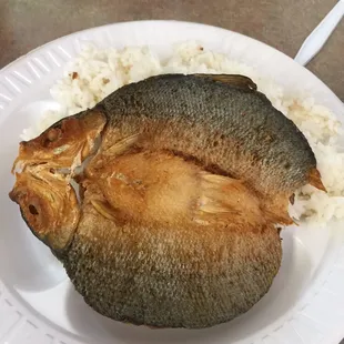 Fried Bangus