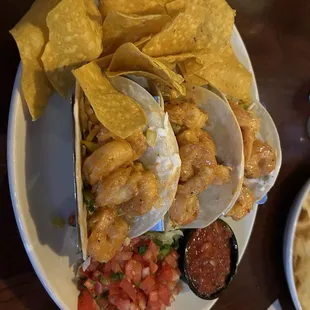 Firecracker Shrimp