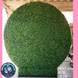 Greenery backdrop rental 
Balloons can be added for a fee