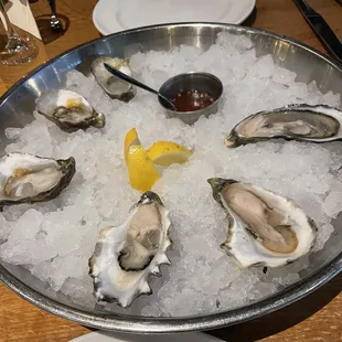 Oysters