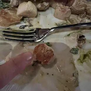 Scallops