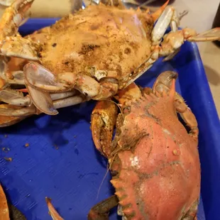 2nd time around,  still w/ the spice, ugh