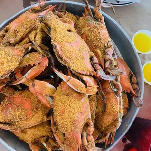 Blue Crabs