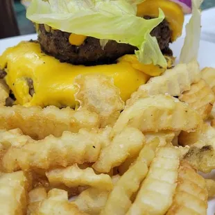 Double Cheesebuger and Fries