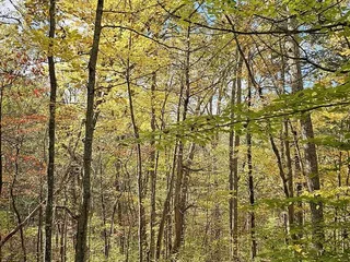 Blue Licks Battlefield State Resort Park