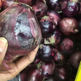 Rotten produce sold at Mayuri