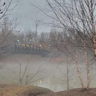 Across the street. Goat island.