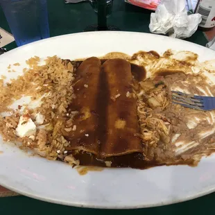 Mole enchiladas