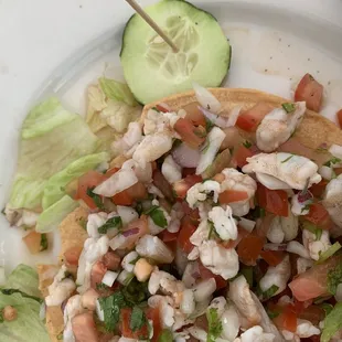 fly in the ceviche