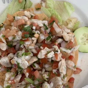 fly in the ceviche