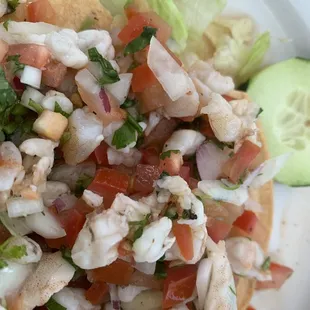fly in the ceviche