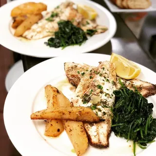 Mediterranean Sea Bass