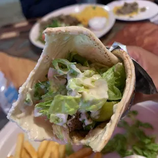 a hand holding a pita