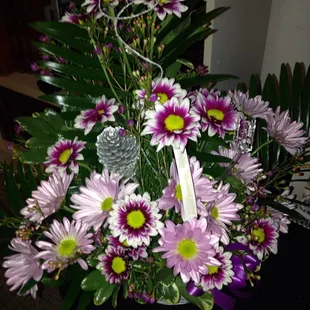 Get well basket of daisies.