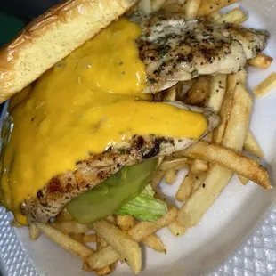 Grilled chicken sandwich with cheddar cheese