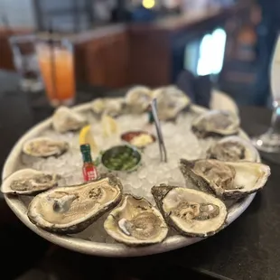 Oysters
