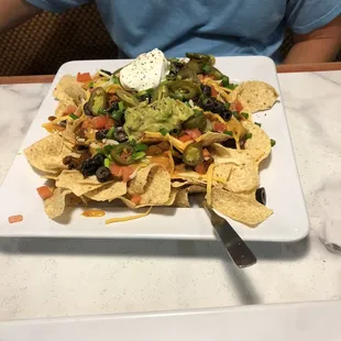 Massive order of loaded nachos.