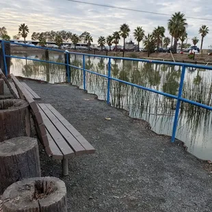 a wooden bench overlooking the water