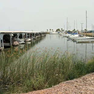 a view of the marina