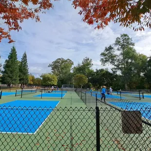 6 new pickleball courts. No lights. No benches on the courts, but there are bleachers.
