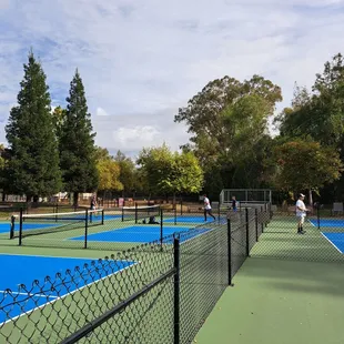 6 new pickleball courts. No lights. No benches on the courts, but there are bleachers.