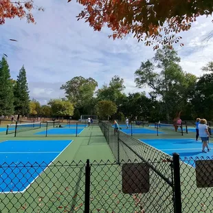 6 new pickleball courts. No lights. No benches on the courts, but there are bleachers.