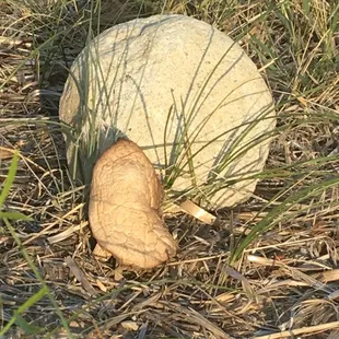 Mother Nature abounds