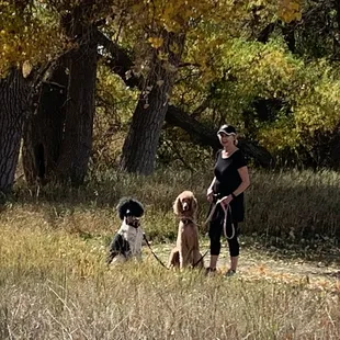 d'Arti, Dupre and Daril