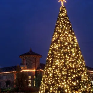 McCaffrey Homes Christmas Tree is lit by thousands of bulbs sponsored by the community to benefit Children's Hospital Central CA