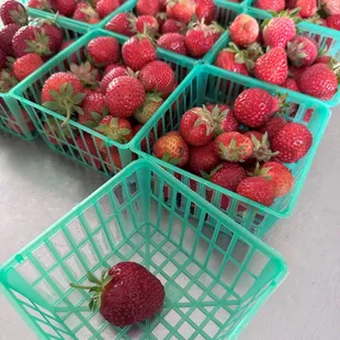 We pick and u pick strawberries.