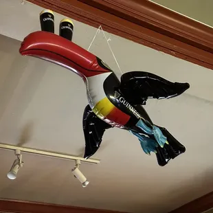 a toucan hanging from the ceiling