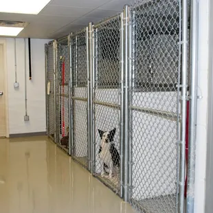 Kennel