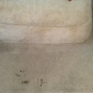 Oil stains on our carpet