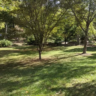 McComb Park, Hickory