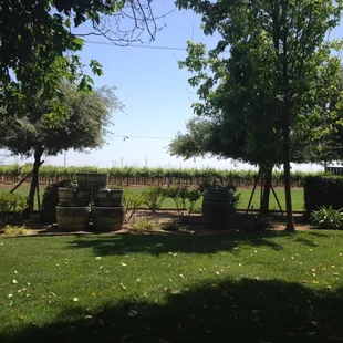 View from the picnic tables.