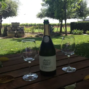 Enjoying some bubbles on a beautiful day at a beautiful place!