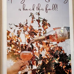 Pomegranate sparkling wine for Fall (2024)