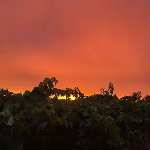 The night was beautiful