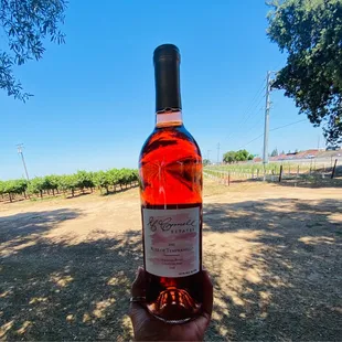 Rose of Tempranillo